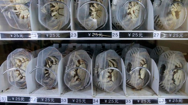 Caranguejos vivos são vendidos em máquina no metrô da cidade de Nanjing, na China