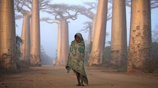 A foto de Ken Thorne tirada na costa oeste de Madagascar, perto de Morondava, recebeu um prêmio por mérito