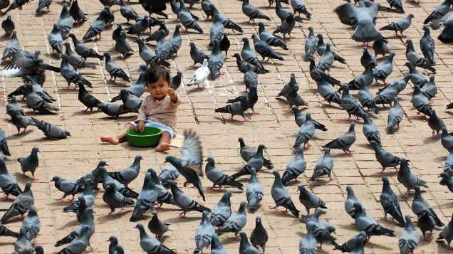 Criança nepalesa senta-se entre os pombos em uma praça em Kathmandu, Nepal