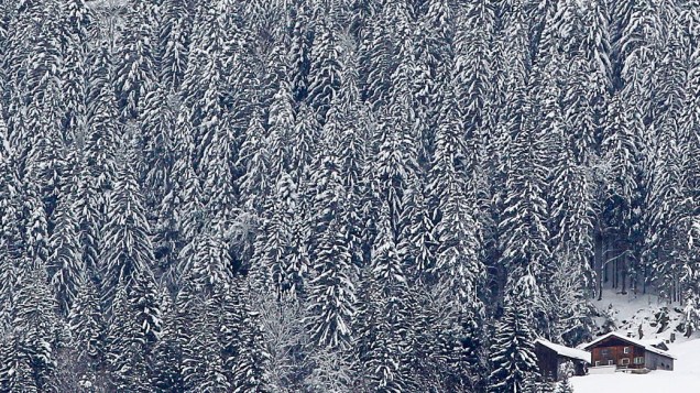 Árvores e casa cobertas de neve na montanha de Schruns, na Áustria