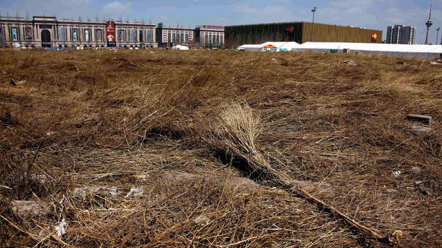 Abandonada a região do estádio de beisebol dos Jogos de Pequim 2008, hoje está repleta de mato