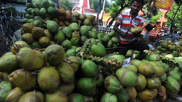 Vendedor de cocos à beira da estrada de Siliguri, Índia