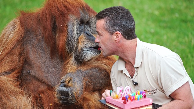 Orangotango chamado de Major recebe bolo de Sebastien Laurent, gerente do zoológico de La Boissiere-du-Doree, próximo a Nantes, na França. Major completa 50 anos e é o orangotango mais velho do mundo que vive em cativeiro
