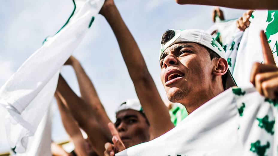 Torcida do Palmeiras comemora o título após a partida entre Palmeiras SP e Boa Esporte MG válida pela Série B do Campeonato Brasileiro 2013, no Estádio Pacaembú em São Paulo (SP), neste sábado (16)