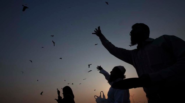 Pessoas alimentam aves em Karachi, Paquistão