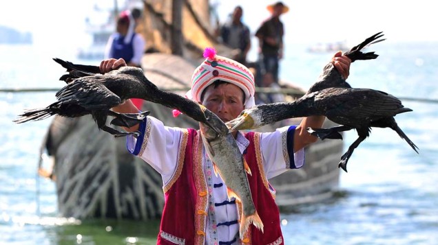 Pescador separa dois biguás de um peixe, durante a abertura do Festival de Pesca no Lago Erhai em Dali, China