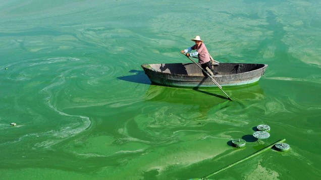 Trabalhador em um barco no lago Chaohu, cheio de algas, em Hefei, China