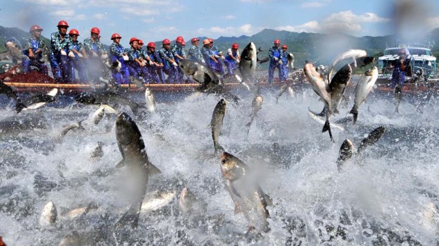 Pescadores no lago Qiandao, no leste da China