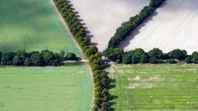 Vista aérea mostra arbustos em estradas de Brandemburgo, na Alemanha
