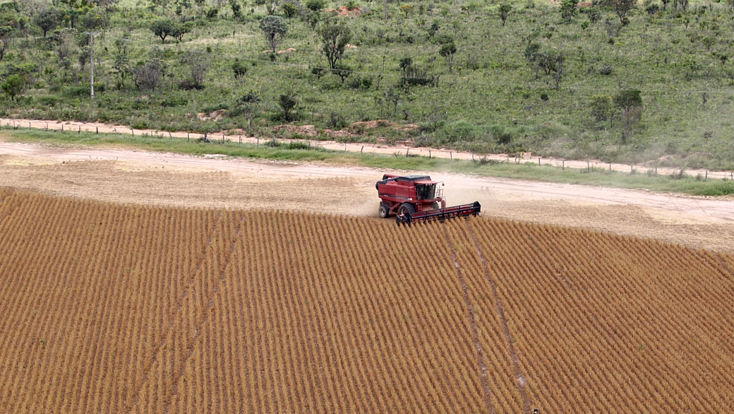 Ajuda do governo brasileiros à agricultura é fonte de reclamações de países ricos