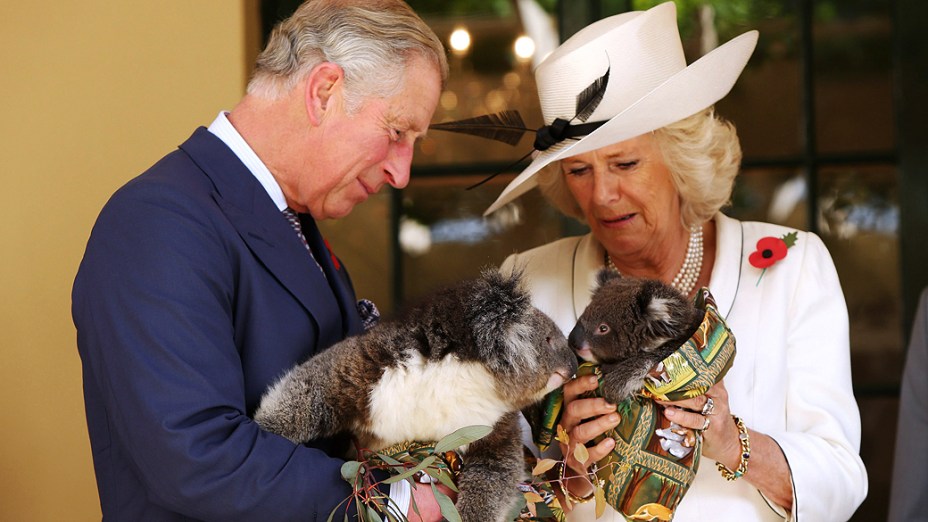 O Príncipe de Gales, Charles, e sua mulher Camilla seguram koalas nesta quarta-feira (7), em Adelaide, na Austrália