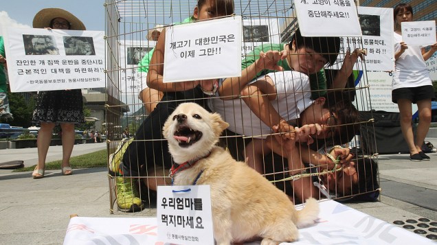 Ativistas pró-direitos animais se trancam em jaula em Seul. Eles protestam contra o hábito local de comer carne canina, o que muitos coreanos acreditam tonificar o corpo e preparar para o calor do verão. No cartaz, se lê Não coma carne de cachorro