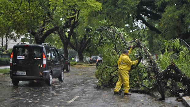 Árvore cai após forte chuva na avenida Lineu de Paula Machado, na altura do Jockey Club