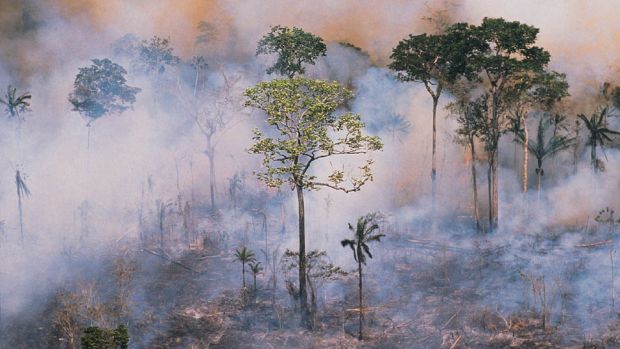 Queimada na Floresta Amazônica