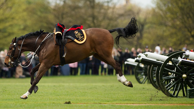 Cavalo se assusta com disparos da artilharia real durante comemoração do 86º aniversário da rainha Elizabeth, no Hyde Park, em Londres