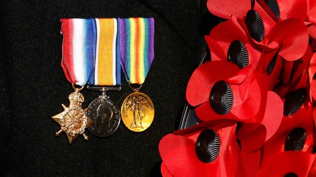Detalhe mostra medalhas de veterano britânico e papoulas artificiais, símbolo do "Remembrance Day", durante cerimônia em Londres