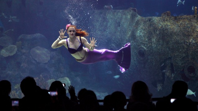 Acrobata vestida de sereia durante performance em aquário de Istambul, Turquia
