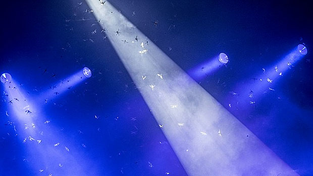 Gafanhotos invadem show de Paul McCartney em Goiânia