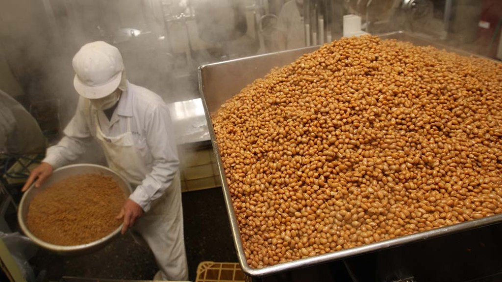 Tanto Conab quanto do IBGE estimam safra de soja em torno de 86,08 milhões de toneladas em 2014