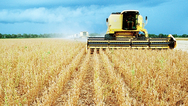 A expectativa para a safra de grãos de 2014 está em 193,5 milhões de toneladas