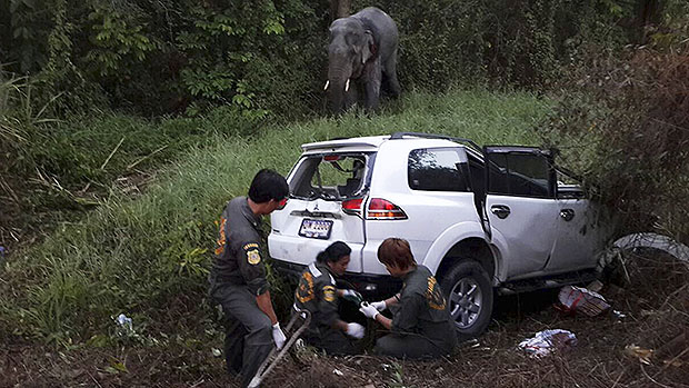 Seis pessoas morrerram após um veículo colidir com um elefante, na Tailândia
