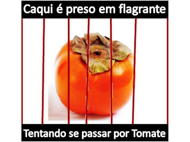 <p></p>