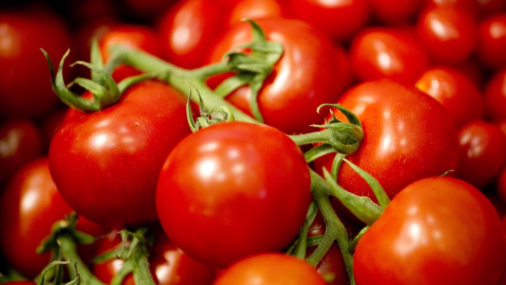 O tomate continuou a liderar o ranking dos principais impactos no índice do mês, com 0,09 ponto percentual.