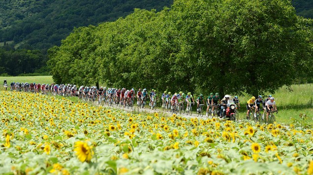 Pelotão de ciclistas na 12ª etapa da competição entre Saint-Jean-de-Maurienne e Annonay Davézieux. O percurso possui uma distância de 226 km
