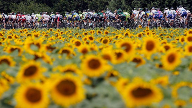Competidores atravessam campo de girassois durante 13 ª etapa do Tour de France entre Saint-Paul-Trois-Châteaux e Cap dAgde
