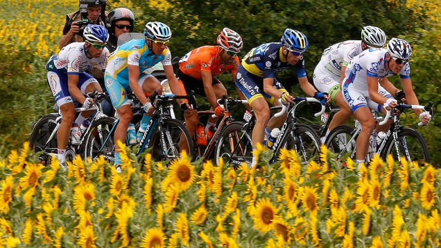 Ciclistas são vistos ao fundo de um campo de girassóis na 18ª etapa do Tour de France