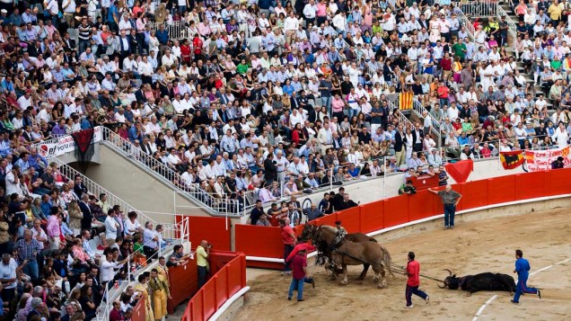 Touro morto é arrastado para fora da arena depois de ser abatido pelo toureiro José Tomás durante a última tourada na praça de touros Monumental em Barcelona, Espanha