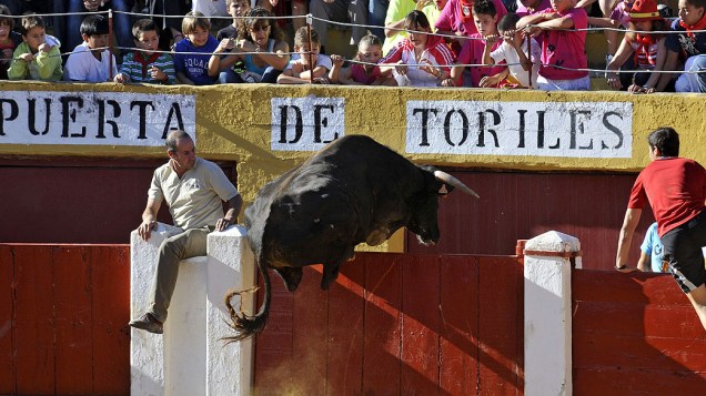 Touro pula para fora da arena Cuéllar, na cidade de Segóvia durante celebrações populares