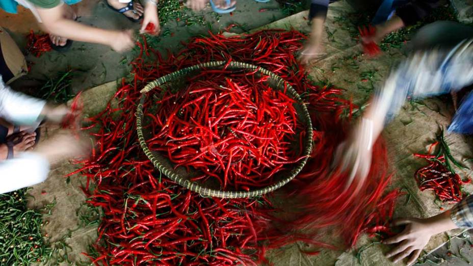 Trabalhadores escolhendo pimenta em Jakarta, Indonésia