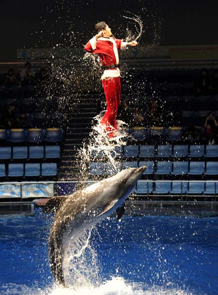 Treinador aquático com vestes de Papai Noel se apresenta com golfinhos no "Aqua Stadium" em Tóquio, Japão