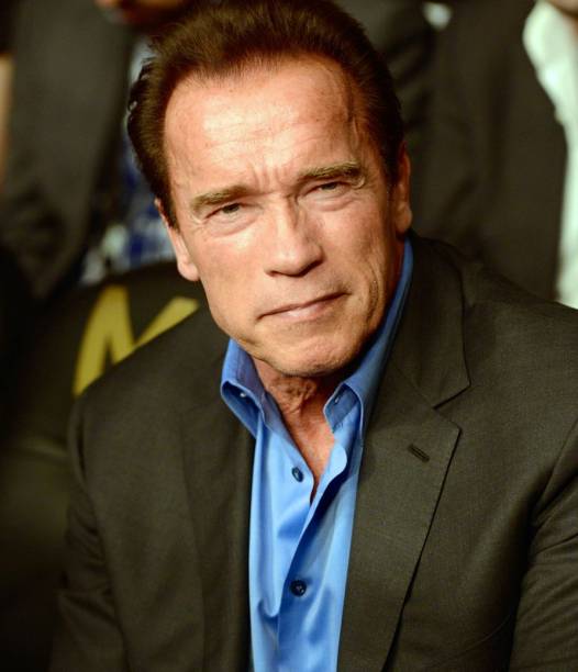 UFC 167: o ator e ex-governador Arnold Schwarzenegger