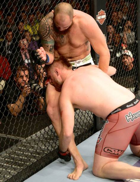 UFC 168: Travis Browne x Josh Barnett