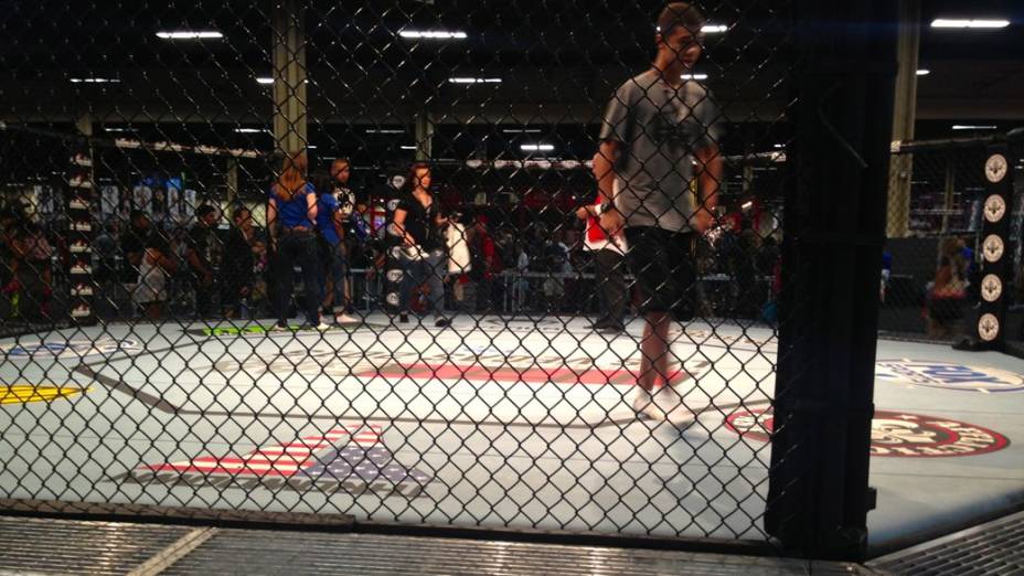 UFC Fan Expo 2013, em Las Vegas