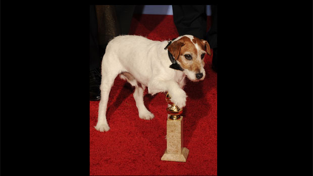 O cão da raça Terrier Uggie posa do lado do Globo de Ouro