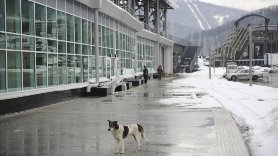 A um ano da abertura dos Jogos, as obras para a Olimpíada de Inverno de Sochi-2014, na Rússia