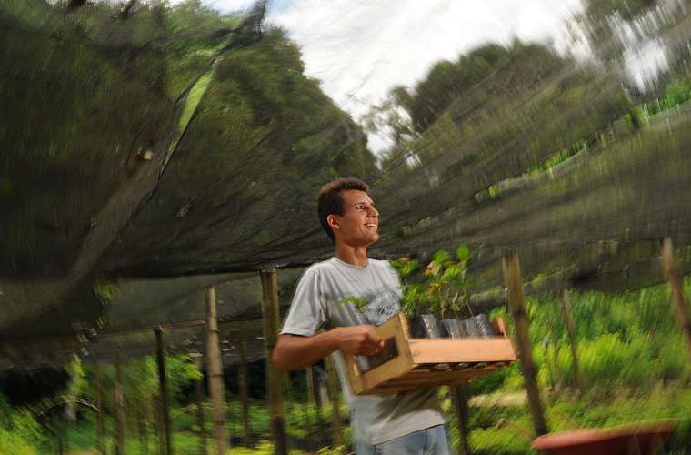 Wallace da Silva transporta mudas prontas para áreas de reflorestamento da reserva.