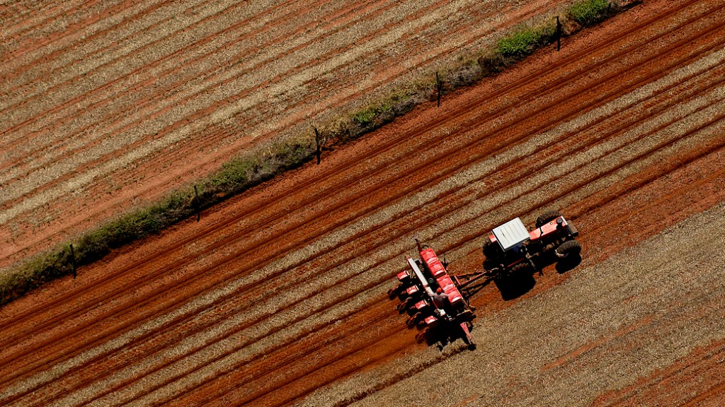 Agropecuária voltou a se destacar no setor produtivo, como foi visto também no primeiro trimestre deste ano