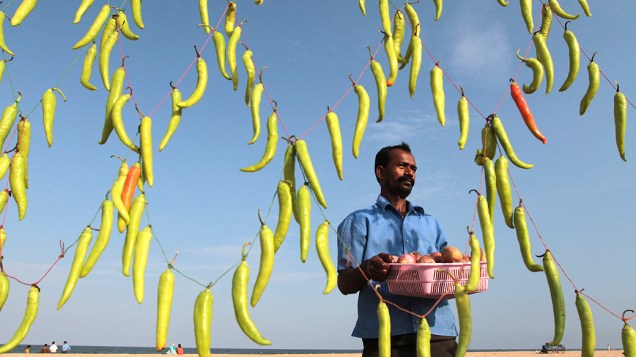Vendedor de comida decora sua barraca com pimentas para atrair clientes, em Chennai, na Índia