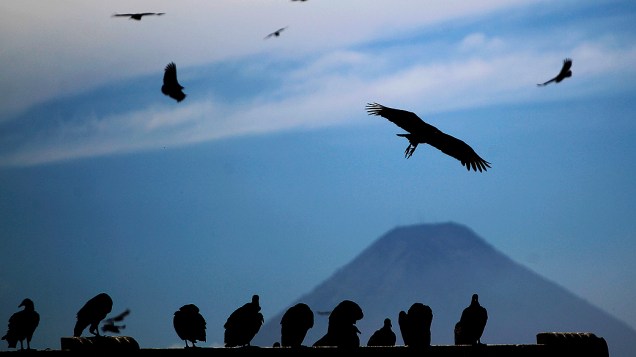 Vulcão de Água no horizonte, abutres sobrevoam cemitério municipal, na Cidade da Guatemala
