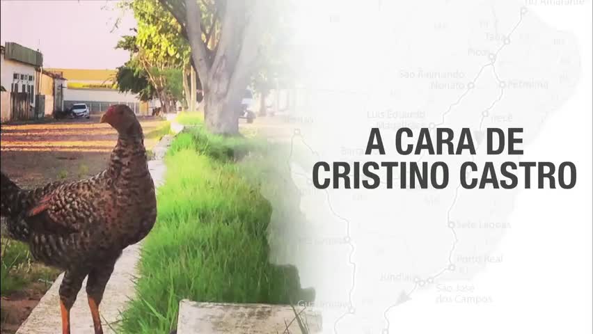 A cara de Cristino Castro