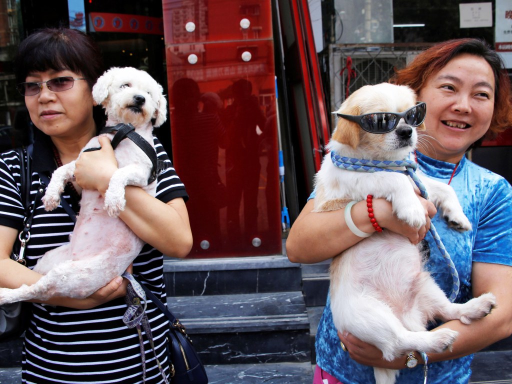 Ativistas seguram cães que foram resgatados de um comerciante que vendia carnes de cachorros, antes do Yulin Festival, na China - 10/06/2016