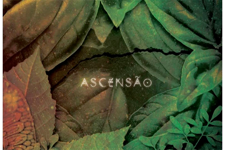 Capa do disco 'Ascensão', de Serena Assumpção