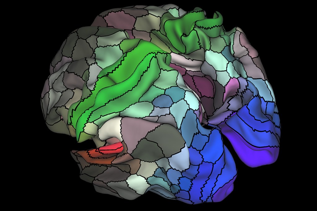 A imagem mostra as 180 áreas do cérebro nos hemisférios direito e esquerdo.