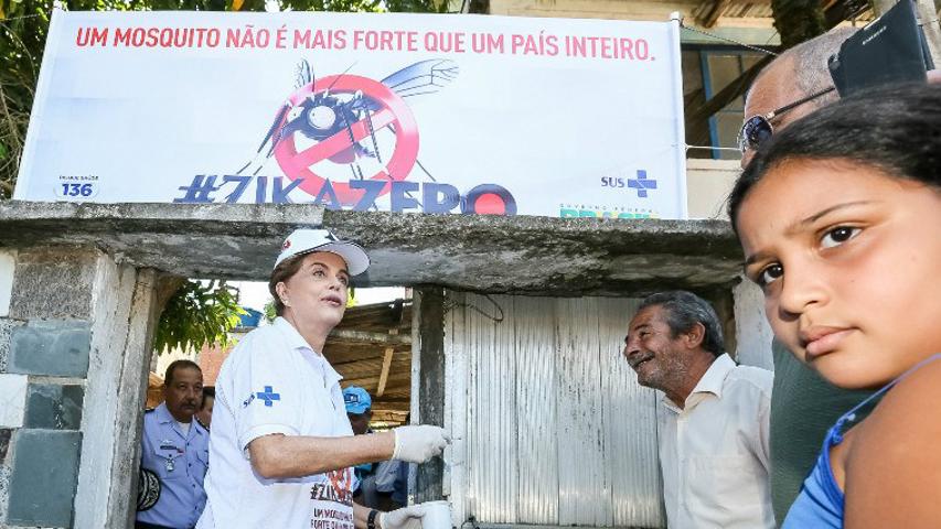 Dilma quer multa para quem não combater Aedes