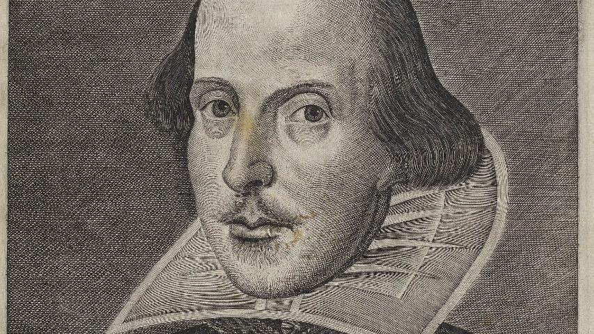 Shakespeare, o escritor total