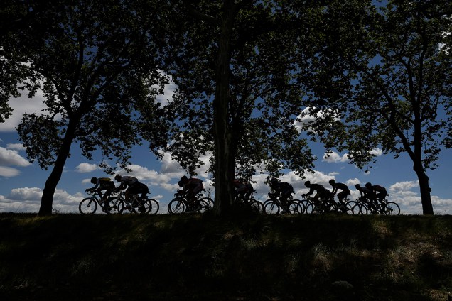 Ciclistas participam da 103ª edição do Tour de France na 12ª etapa da competição entre as cidades francesas de Montpellier e Chalet-Reynard - 14/07/2016